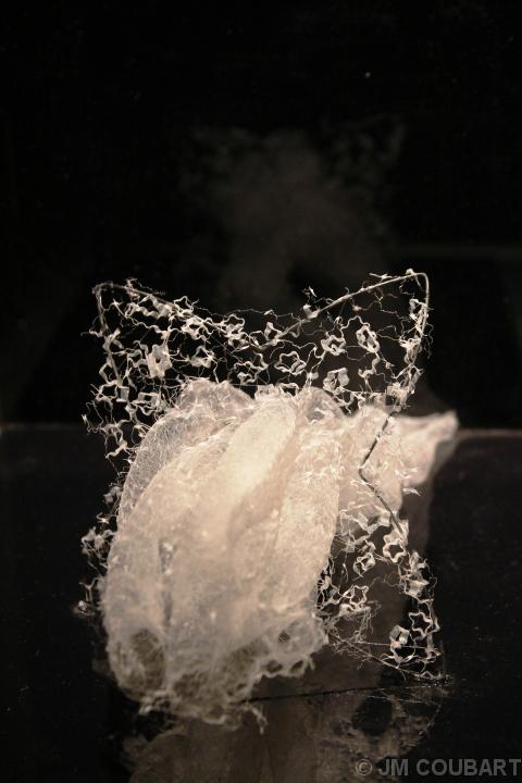 Diapositive suivante